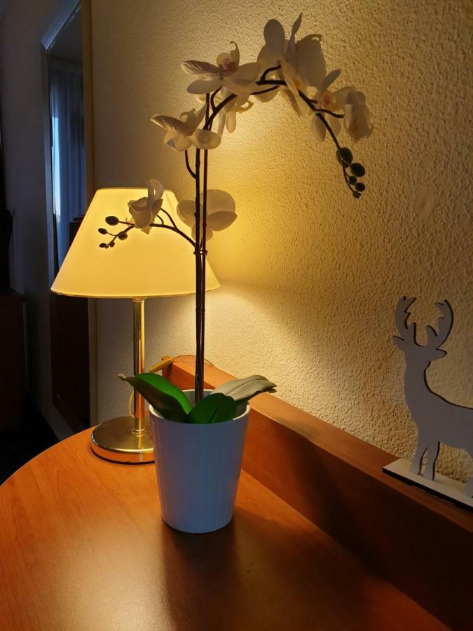 Apartment Am Kranichsee Vier Jahreszeiten กอสลาร์ ภายนอก รูปภาพ